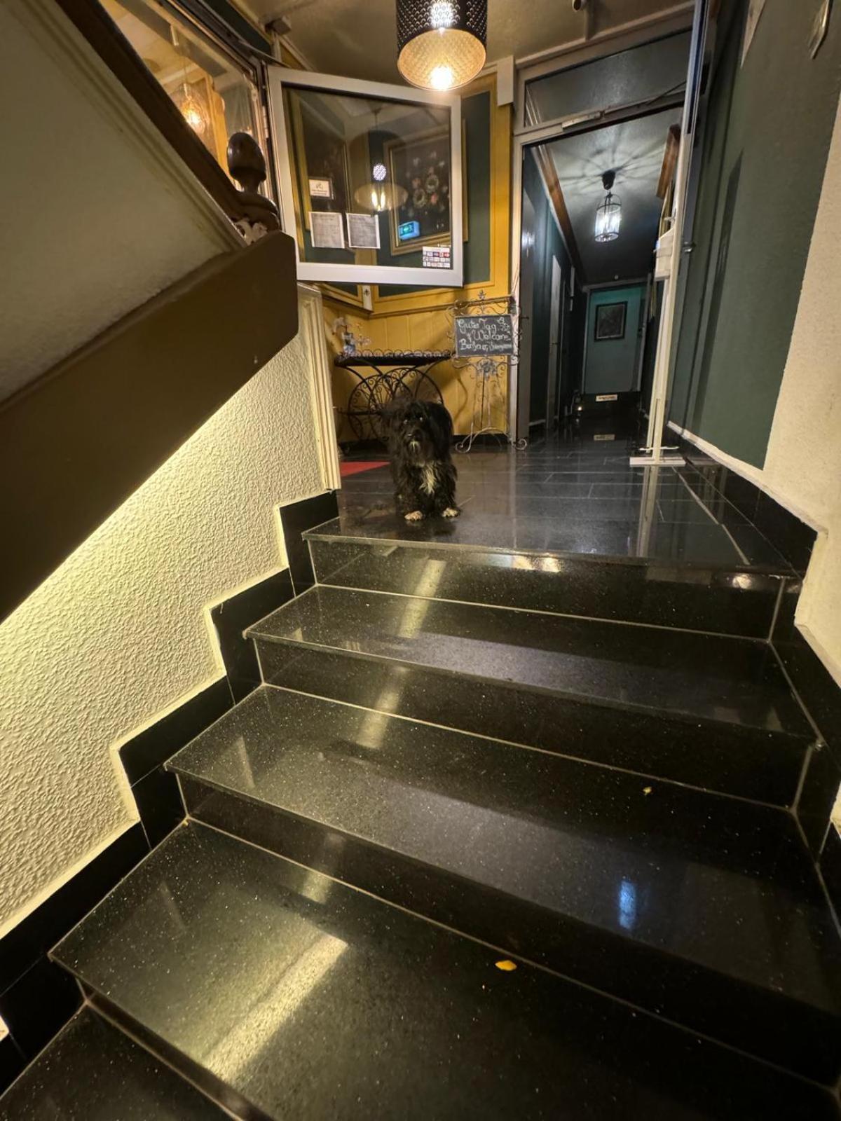 Hotel Drei Kronen Dortmund Buitenkant foto